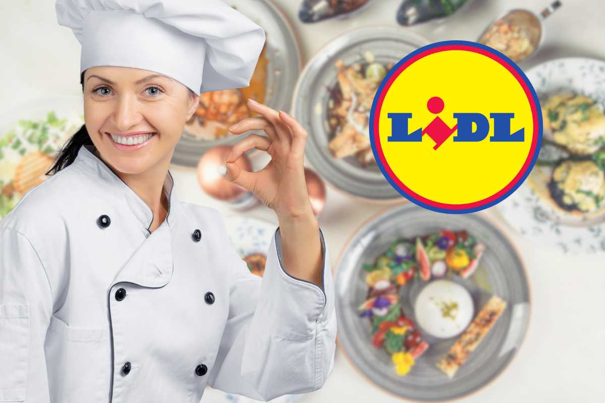 piatti gourmet chef ok logo lidl
