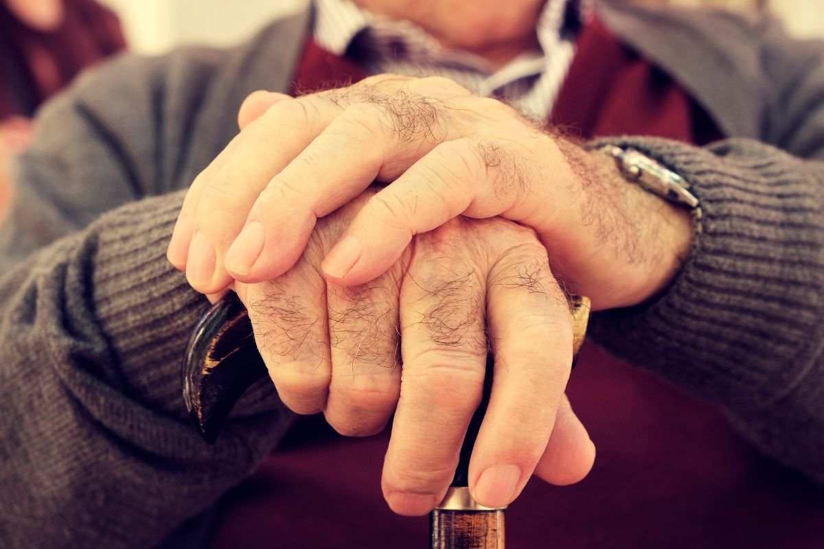 Pensioni 2026 2029: i nuovi requisiti di età