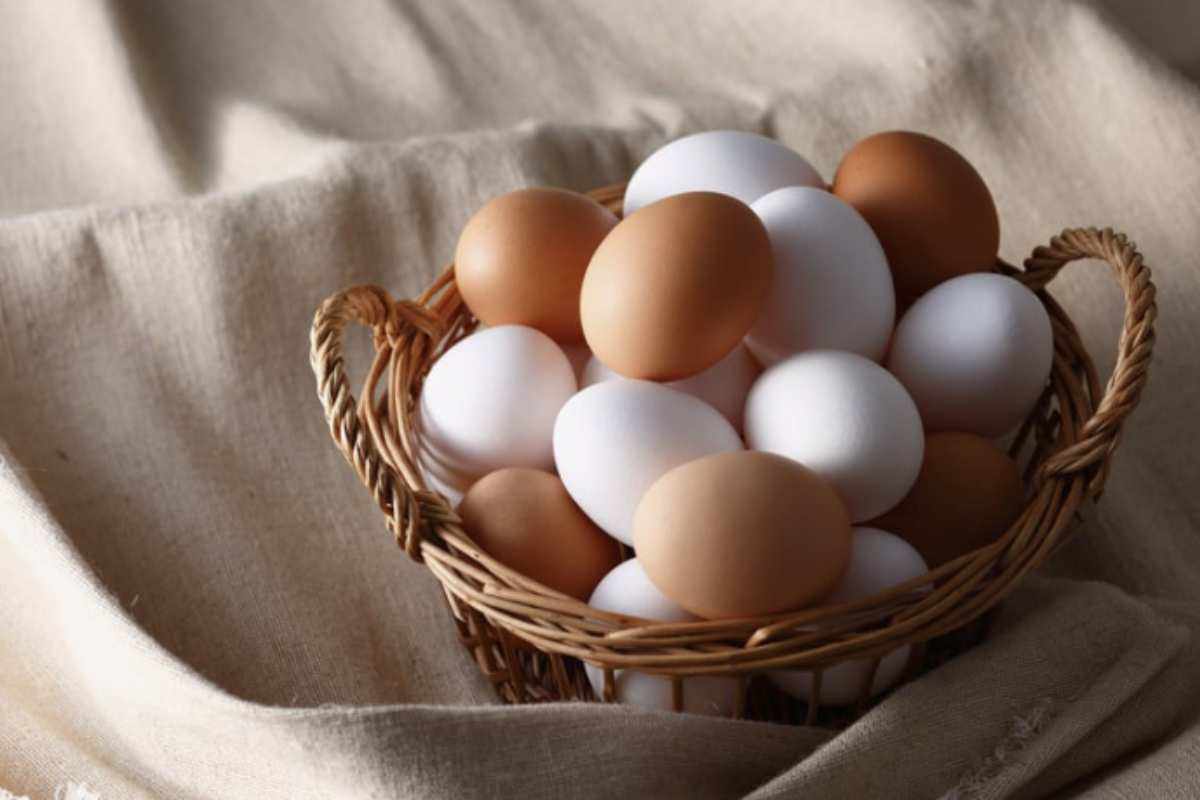 Dal punto di vista nutrizionale, le uova di galline allevate in modo più naturale presentano un profilo più equilibrato e ricco di elementi benefici